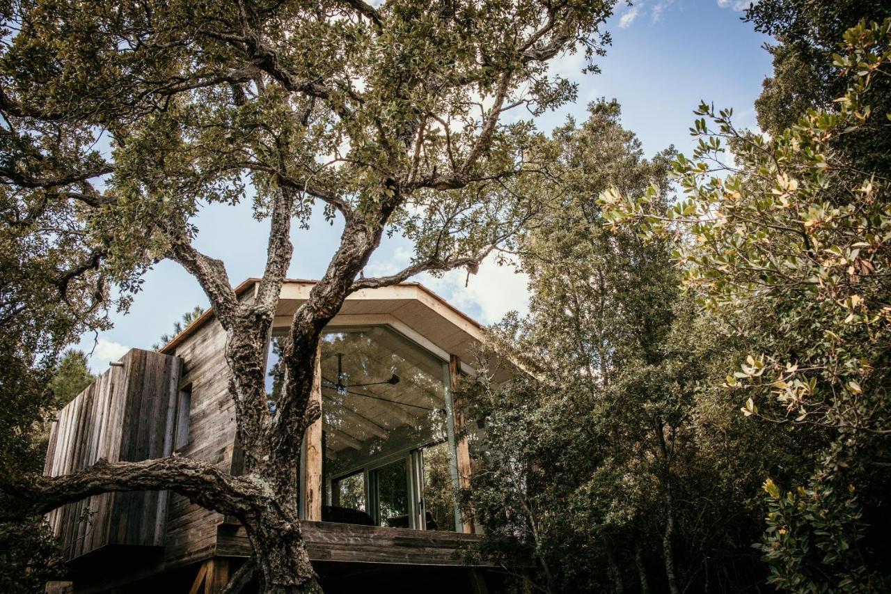 Le Caseddu&la Casanghjulina Porto-Vecchio (Corsica)